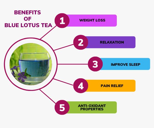 Benefits of Blue Lotus Tea
